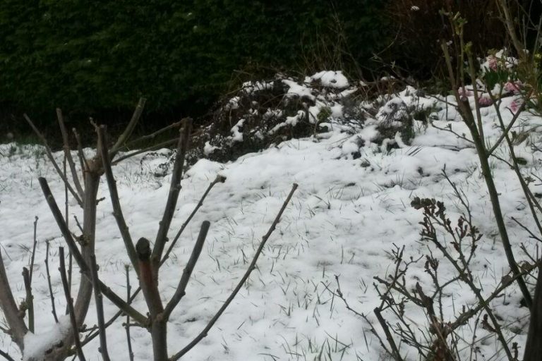 neige 01.04